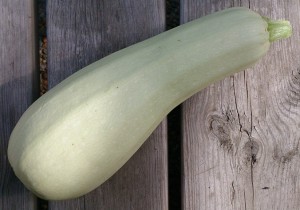 Squash